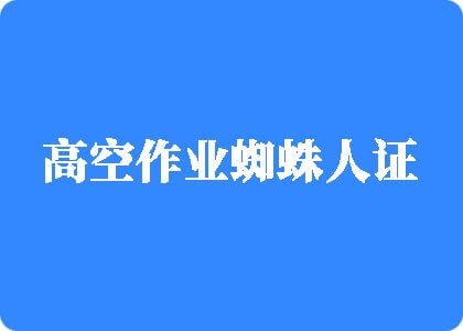 别插了好痛小视频高空作业蜘蛛人证